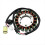 For BIGBEAR Stator Coil Gasket Set 6
