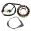 For BIGBEAR Stator Coil Gasket Set 4