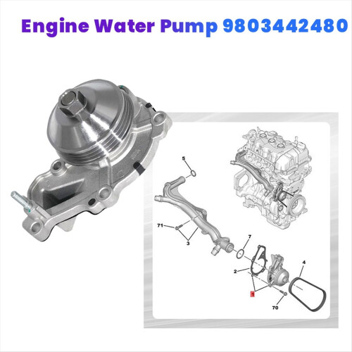Engine Cooling Water Pump 9803442480 for C3 C 1C4 2