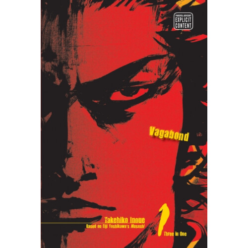 Vagabond, Vol. 1 (vizbig Edition)