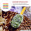 100 Holz-Sorbet-Sticks Kindergarten Wiederverwendbar 11
