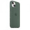 (Eucalyptus) Silicone Case With Magsafe For Iphone 13 Mini Phone Case 25-26s 2