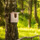Vogelhaus Naturholz Halbhohle Vögel 2
