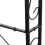 Rosenbogenvogel 6