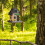 Dekoratives Vogelhaus-Ladendesign 2
