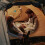 (deer)Kids Reading Light, Cute Book Lights For Reading In Bed, Led Neck Reading Light Bendable Headboard Light 25-26s 2