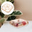 Plastic Dried Fruit Container Haushalt Europäisch Snack Box Mit Deckel 5