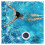 Swimming Pool Filter Ionizer Solar Powered Copper Silver Ion Technology For Algae Removal And Disinfection 3