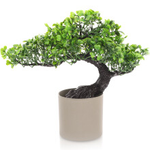 4 Sztuki Symulowane Drzewko Chołwowca Bonsai Do Domu I Biura