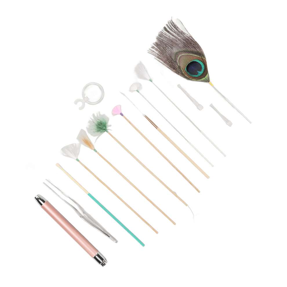 Earwax Removal Kit with Feather Sticks for Massage Stainless Steel