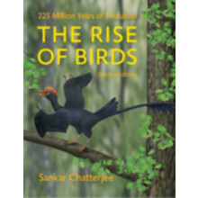 The Rise of Birds by Chatterjee Sankar Paul Whitfield Horn Professor o