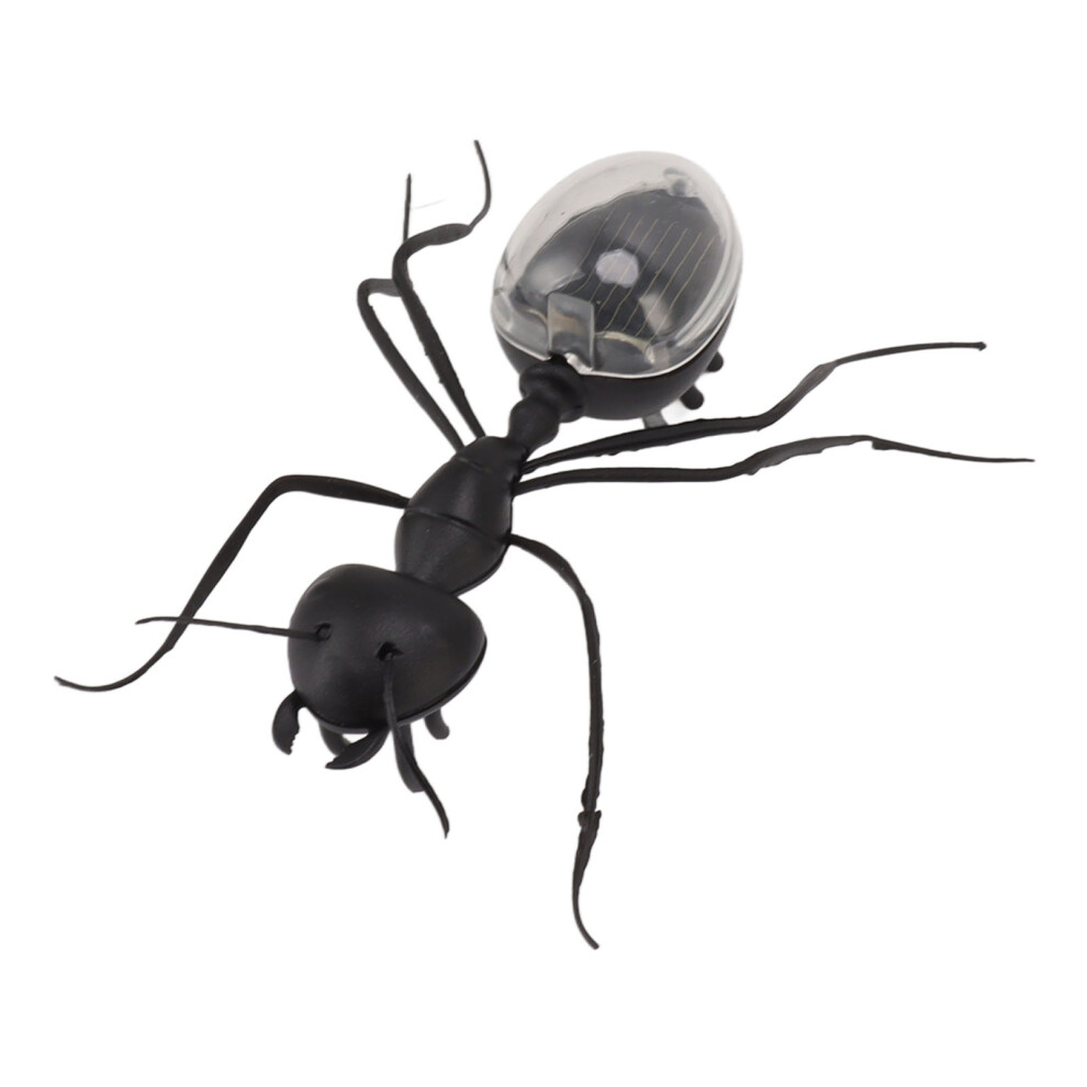 Solar Power Ants Insect Toy Educational Abs Kids Prank Toy Outdoor Garden Play 4031354243382