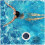 Swimming Pool Filter Ionizer Solar Water Purifier Copper Silver Ion Technology For Algae Removal 3