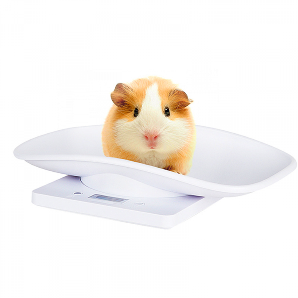 Pet Electronic Weighing Scale For Measure Puppy High Precision 6485316517192