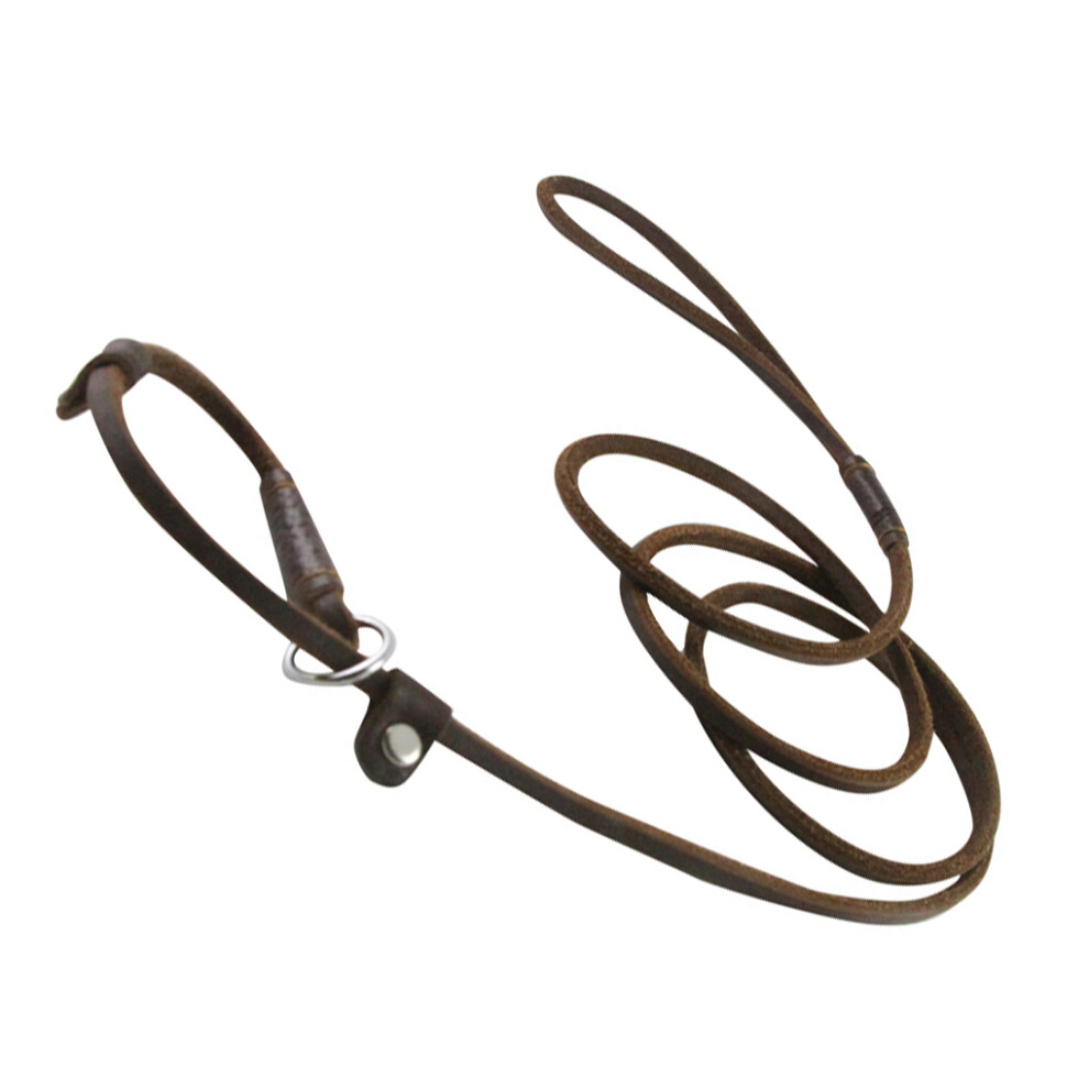 Comfortable And Durable Dog Leash Suitable For All Breeds Brown 150cm-image-OPC-PMDX79Y-NEW