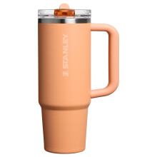 Stanley Quencher ProTour Flip Straw Tumbler met Lekvrije Deksel 30 oz | Ingebouwd Rietje en Handvat | Compatibel met Bekerhouder