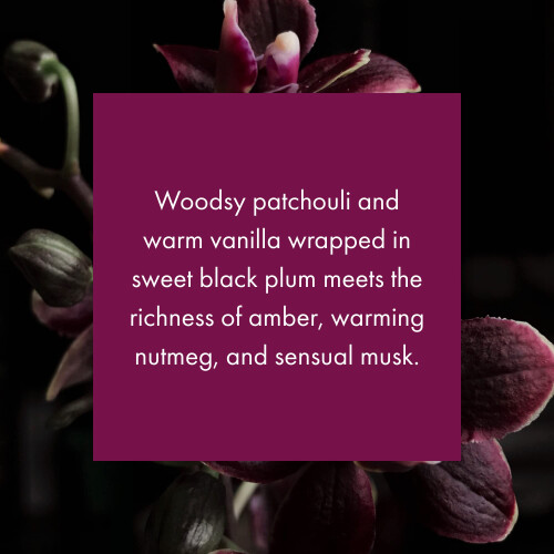 ScentAir Monthly Duft Cartridge til Whisper Home - Sort Orchid 1