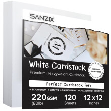 SANZIX 120 Blatt weier Karton, 30,5 x 30,5 cm, 220 g/m, 80 lbs  perfekt fr Bastelarbeiten, Scrapbooking, DIY-Projekte, Kartengestaltung, Einl