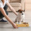 Futternäpfe für Hunde 2