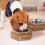 Hundenapf-Set mit Holzhalter 2