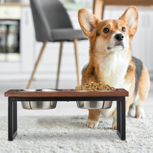 Raised dog bowl made from mango wood 1