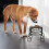 Comedero elevado para perros, 300 ml, acero inoxidable 4