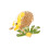 Igel-Blumenbrosche, Einheitsgröße, Gelb/Grün 5