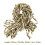 Macrame Kit Droomvanger Materiaal 1000x1,5x0,5 Cm 2