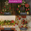 NEO Neo 110PC Christmas Shatterproof Red & Gold Bauble 3