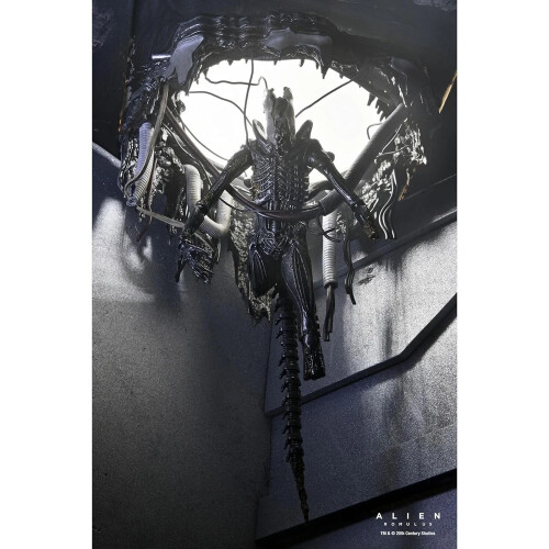 NECA NECA ALIEN:ROMULUS SUSPENDED LAB XENOMORPH XX121 1