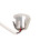Stylish Mini LED Ceiling Spotlights Soft White Light for Indoor Use 6000K 15