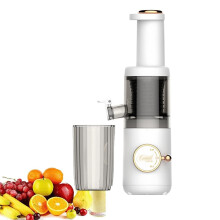 Masticating Slow Juicer Portable 620ml Cold Press Juicer Citrus Orange Fruit Vegetable 120W Motor Reverse Easy To Clean