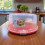 Whitefurze 30cm Round Airtight Cake Box with Handle 4