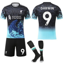 Liverpool Jubiläums-Sporttrikot mit Stutzen Nr. 9 Darwin 2025-2026 [Juni] Nr. 9 Darwin Nr. 9 Darwin