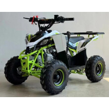 Off Road 125cc ATV Quad Bike 4 Stroke Petrol 70KMH