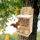 Squirrel Picnic Table Feeder 3-Stool Nut Bar Window Feeder For Windowsill Balcony 2
