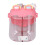 Niedliche Wasserflasche, 780 ml, doppelt 9