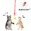 2Stk Katzen-Streichelband Mit Glöckchen Bewegungstraining 2