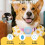 Cat Tracker Collar For Small Cats 2025 Pink Cat GPS Tracker Collar No Monthly Fee Find Function for Apple And Android 3