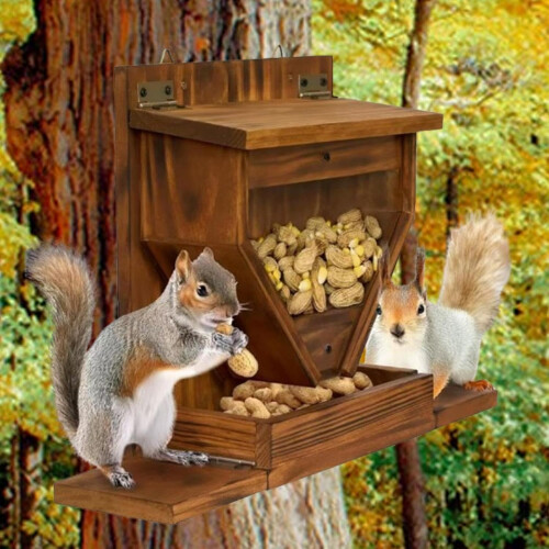 Squirrel Box Feeder Box Feeding Station Outdoor Garden For Squirrels 1