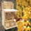 Squirrel Bench Feeder, 3-Stool Nut Bar Window Feeder, Multipurpose Chipmunk Feeder For Windowsill Balcony 2