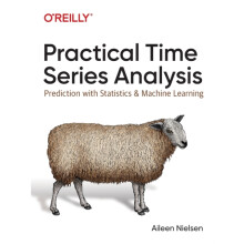 Practical Time Series Analysis by Aileen Nielsen Paperback Book