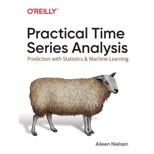 Practical Time Series Analysis by Aileen Nielsen Paperback Book