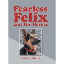Fearless Felix and His Heroes by David Volk Hardcover Book