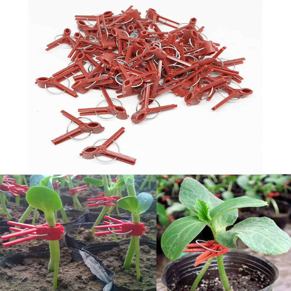100PCS Plastic Grafting Clips Garden Plant Clips-image-OPC-PMFMFK2-NEW