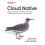 Cloud Native by Peter Jausovec Paperback Book 1