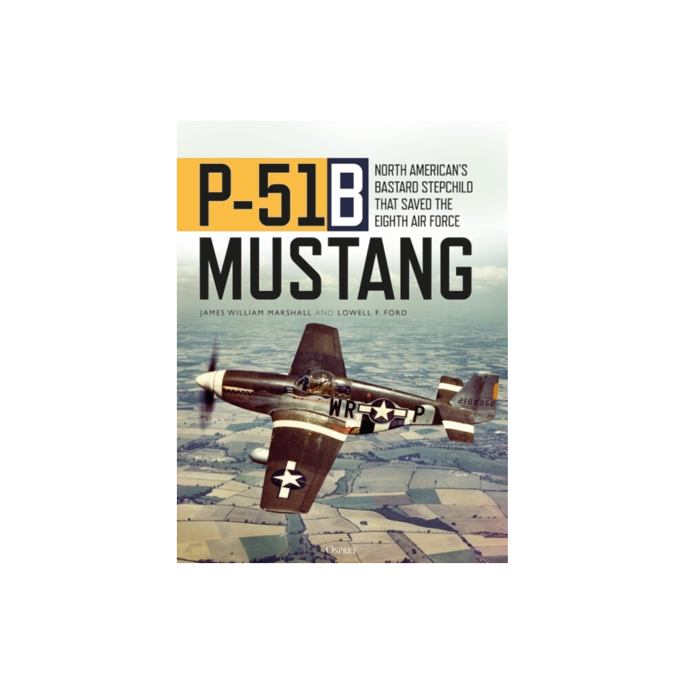 Riachristiecollections P51b Mustang By Lowell F. Ford Hardcover Book