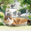 Cat Window Lounger Transparent Window Seat Hammock Perch For Cats 2