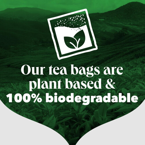 PG Tips PG Tips Earl Grey Envelope Tea Bags Pack of 25 2