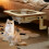 Window Cat Transparent Sun Bath Window Hammock For Cats Space Capsule Cat Style 4